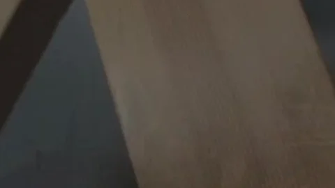 Bears Relish To Look deep Into Each Others Eyes