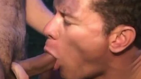 Tattooed homo paramours sucking And fucking