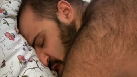 hairy Bears
