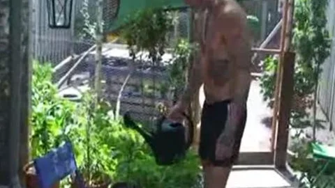Rooftop Garden